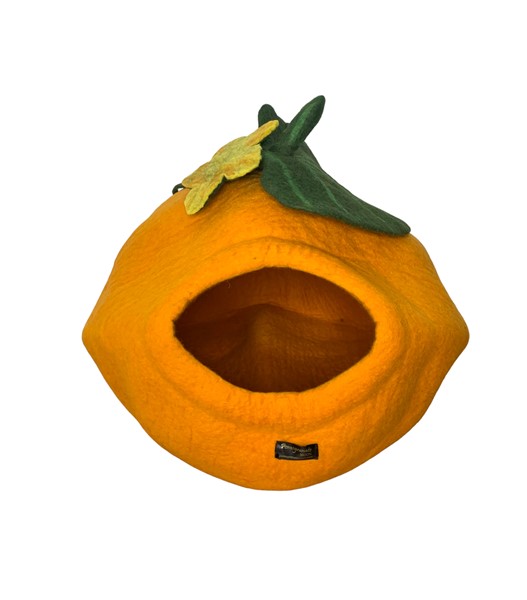 Cat House-Pumpkin CATP